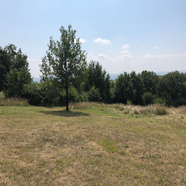 Offres de vente Terrain Castelnau-d'Estrétefonds 31620
