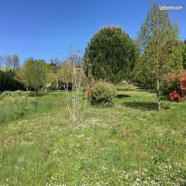 Offres de vente Terrain Canals 82170