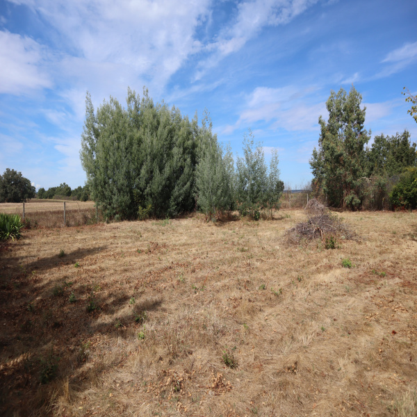 Offres de vente Terrain Larra 31330