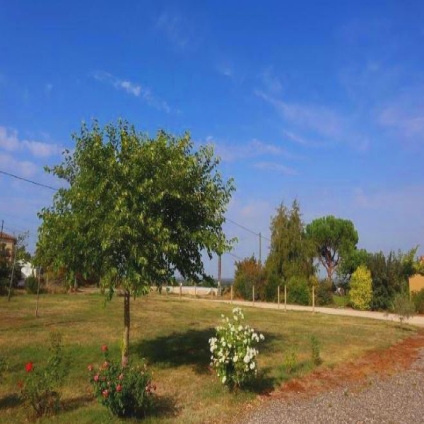 Offres de vente Terrain Savenès 82600